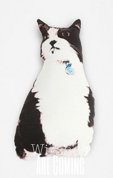 Almofada, Gato da Bruxa
