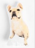 Almofada Albert Dog Vibe