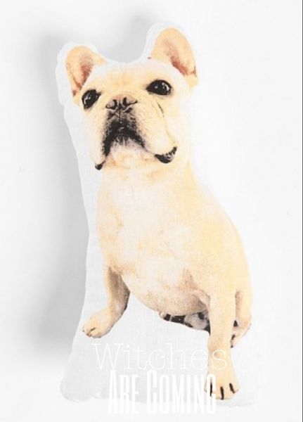 Almofada Albert Dog Vibe